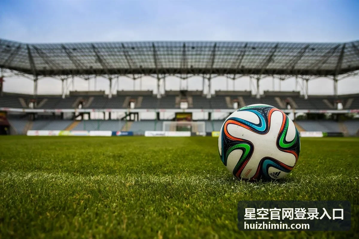 星空官网登录入口账号安全与登录设备管理