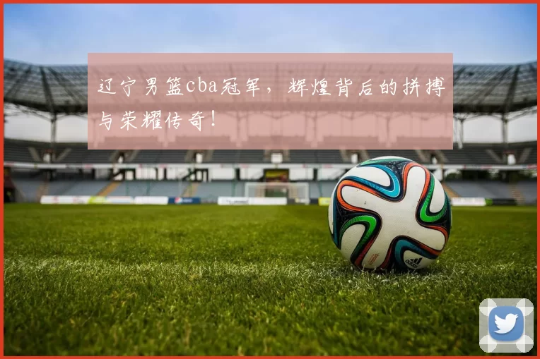 辽宁男篮cba冠军，辉煌背后的拼搏与荣耀传奇！